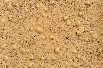 Cream honey, flax seed paste, urbech. Background, texture, close up. Macro
