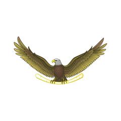 Fototapeta premium wild eagle vector logo template