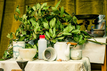 Still life of painter's studio green tones