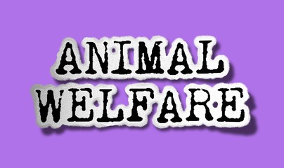 Animal Welfare - Flat Tattered Paper Words on Pink Background - Concept Graphic Symbol Illustration