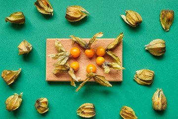 physalis berries on a green background.