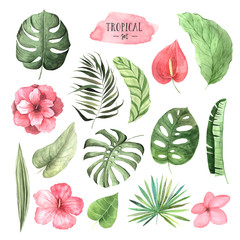Fototapeta premium Watercolor tropical flowers, leaves and plants