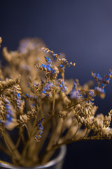 Blue dried flowers on a blue background. Ekibana. Dry flowers. Wildflowers. Blue background. Macro photo