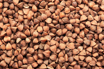 Scattered buckwheat background / Close-up buckwheat background.