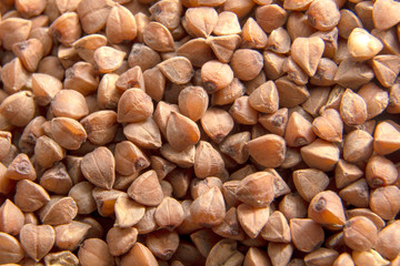 Buckwheat / Diet concept / Background texture of buckwheat / Macro shot of buckwheat texture / Fresh and dry buckwheat background.