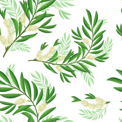 Tea tree branch pattern with flowers and leaves. Malaleuca or tea tree design composition. Vector illustration for use in web design, print or other visual area