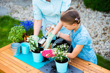 Mother and daughter planting flowers in pots in the garden - concept of working together,...