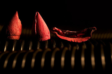 Maderas secas rojas sobre tubo estriado negro