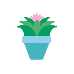 succulent flower in pot plants flat icon