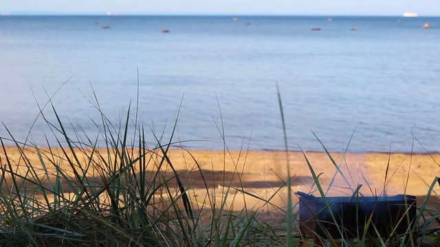 Metal brazier on a sandy beach. Bonfire for cooking on the coast. Smoke comes from the fire, sedge sways in the wind. Calm sea in the background