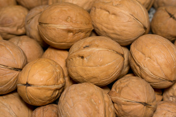 many large walnuts in a shell