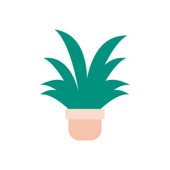 potted succulent plants flat icon