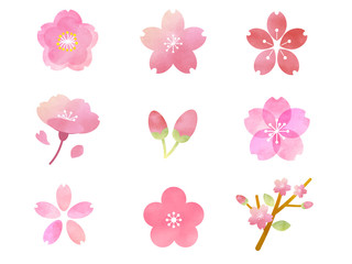 桜 水彩 コレクション