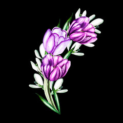 Obraz premium Watercolor bouquet with tulip and peony. 