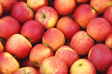 Fototapeta na wymiar juicy red apples on a wooden table