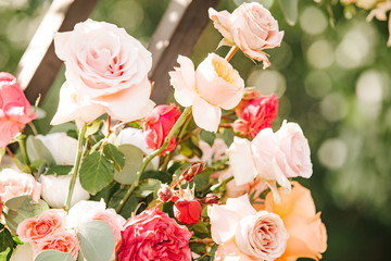 flowers rose beautiful bouquet valentines day colorful