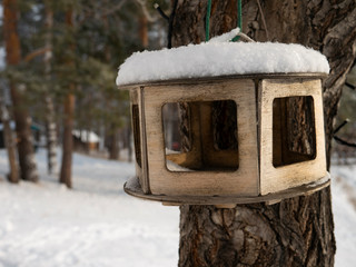 bird feeders