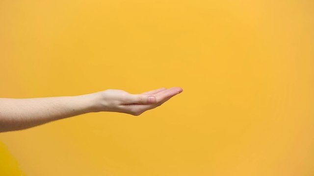 Woman hand hold copyspace on palm isolated over yellow orange background in studio. Copy space for advertisement. With place for text or image promotional content. Advertising area, workspace mock up.
