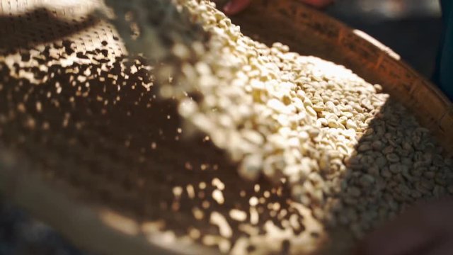Thai male hand with wooden spoon roasting Arabica coffee beans in a clay pan. The traditional process of fry coffee beans  in Thailand