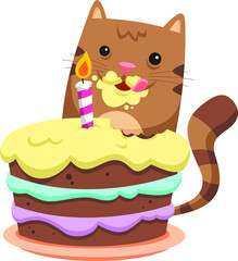 cat eating cake