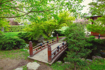 The Japanese Garden in Istanbul