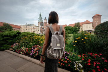 Wawel Royal Castle. Historic buildings of the Wawel Cathedral.