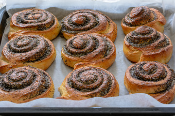 Freshly baked cinnamon rolls buns with poppy