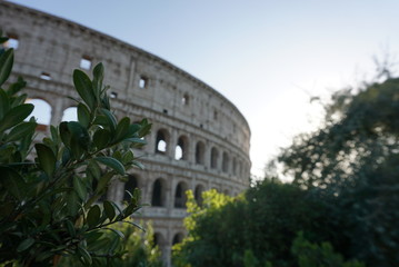 Fototapeta premium Sun setting behind the Colosseum in Rome, Italy in the warm days of the summer months