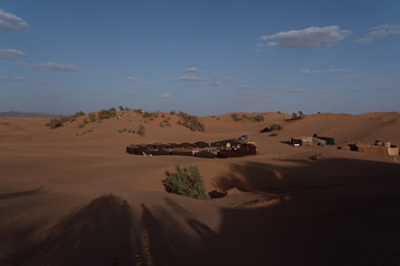 Sahara Desert