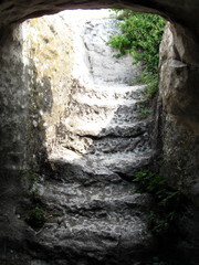 waterfall in the forest