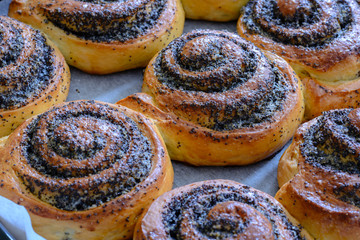 Freshly baked cinnamon rolls buns with poppy