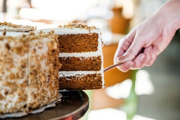 Piece of carrot cake