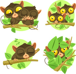 tarsier set