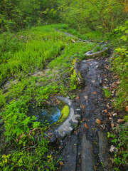 Muddy road in rural path at the forest with creek.
