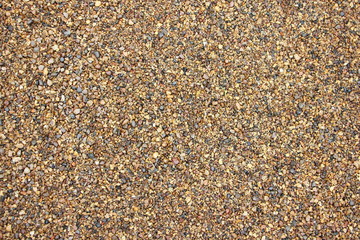 Small pebbles on the beach, texture for background