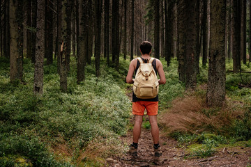 Closeup portrait of young hiker hiking, looking up at trees.