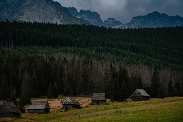 path through Gasienicowa Valley in Tatry mountains, Poland
