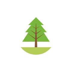 Fototapeta premium pine tree plant flat style