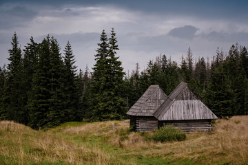 path through Gasienicowa Valley in Tatry mountains, Poland
