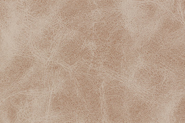 Tan brown fawn leather background