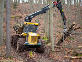 Wood harvester at work