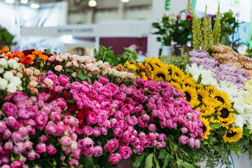 Fototapeta na wymiar A variety of colorful fresh flowers at the flower fair. Spring sale. Colorful nature background.