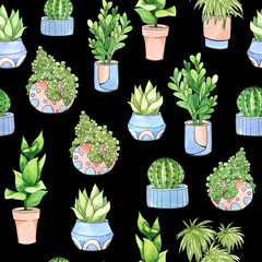 Pattern with watercolor drawn  houseplants. Seamless pattern with watercolor  pot plants isolated on black background. Botanical illustration. Background with house plants. 