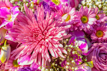 fresh group of pink and violet bouquet flower blooming.