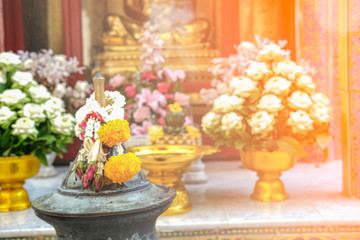 fresh white jasmin flower elaborate. Thai land tradition buddism use for ceremony in temple