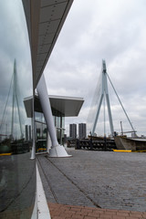 Swann bridge in reflection in Rotterdam