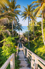 A beautiful descent wooden staircase through the jungle down to the beach. A beautiful view opens through palm trees to the ocean.