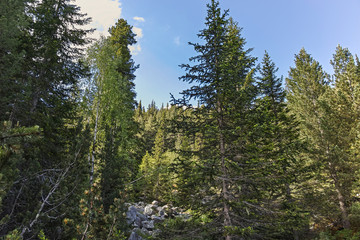 Landscape of trail for The Stinky Lake from area of Tiha Rila (Quiet Rila