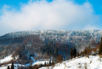 Winter mountain landscape, Carpathian mountains, Ukraine