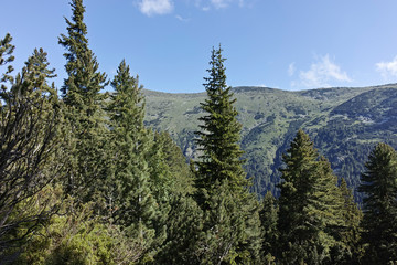 Landscape of trail for The Stinky Lake from area of Tiha Rila (Quiet Rila